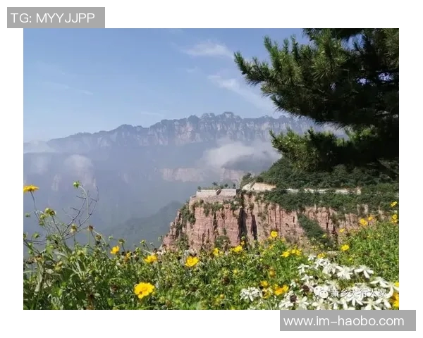 河南焦作文旅携手河南广播电视台民生频道共推文化旅游新发展